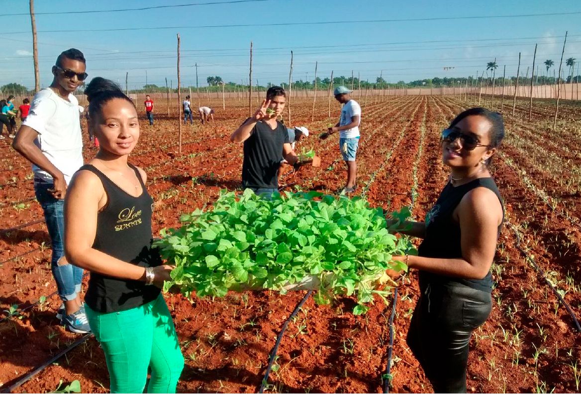 Estudiantes en trabajo de campo